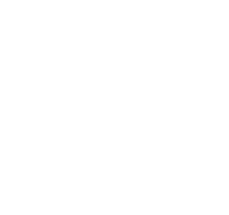 Cashier Icon